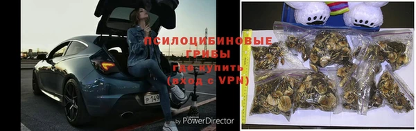 ПСИЛОЦИБИНОВЫЕ ГРИБЫ Белоозёрский