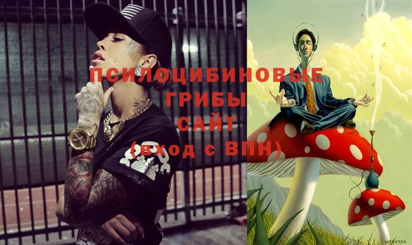 ПСИЛОЦИБИНОВЫЕ ГРИБЫ Белоозёрский