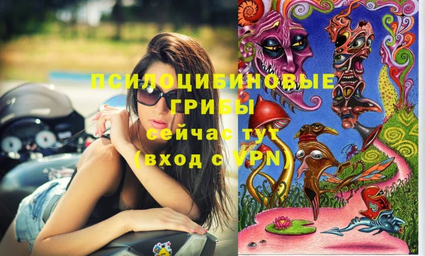 прущий лед Белокуриха