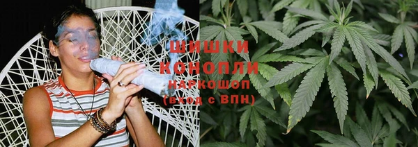 ПСИЛОЦИБИНОВЫЕ ГРИБЫ Белоозёрский