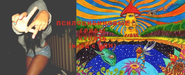 ПСИЛОЦИБИНОВЫЕ ГРИБЫ Белоозёрский