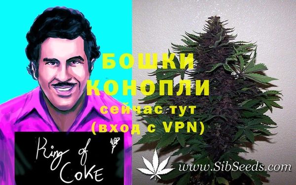 прущий лед Белокуриха