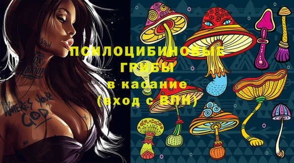 ПСИЛОЦИБИНОВЫЕ ГРИБЫ Белоозёрский