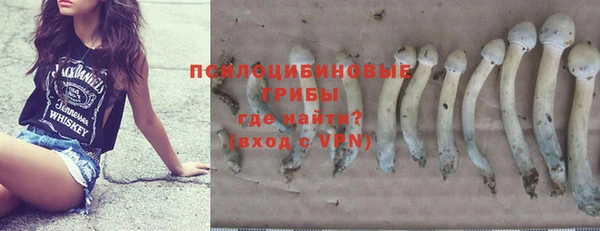 прущий лед Белокуриха