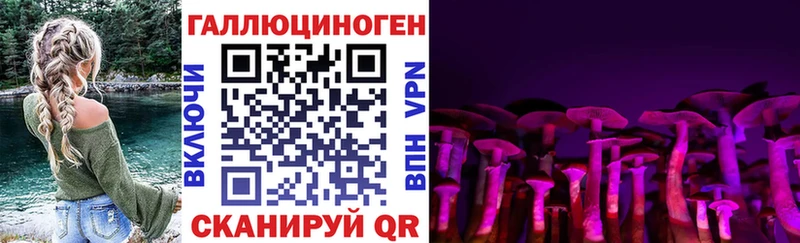 omg маркетплейс  Воркута  Псилоцибиновые грибы Magic Shrooms  где купить наркотик 